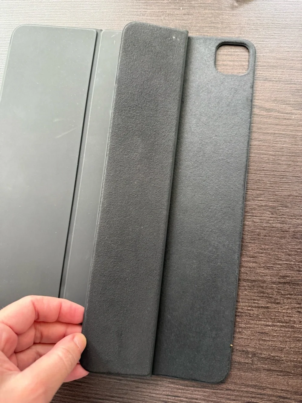 iPad Pro Smart Case/Cover